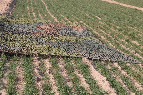 專業偽裝衣：防偽衣的簡易制作方法