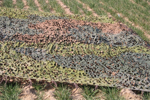 偵察設(shè)施與假目標(biāo)之間的關(guān)系